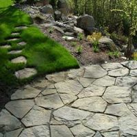 A stone pathway.