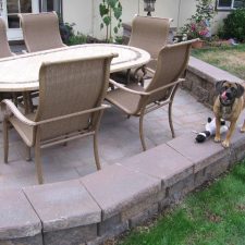 A dog standing upon a stone ledge encircling a patio.